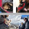 [Portable Pet Backpack] Portable Pet Backpack for Cats and Puppies | Small Size, Adjustable Shoulder Straps, Zippers & Ventilation Holes