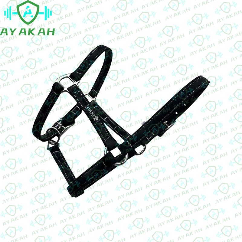 AYAKAH Equestrian and Target Training Supplies