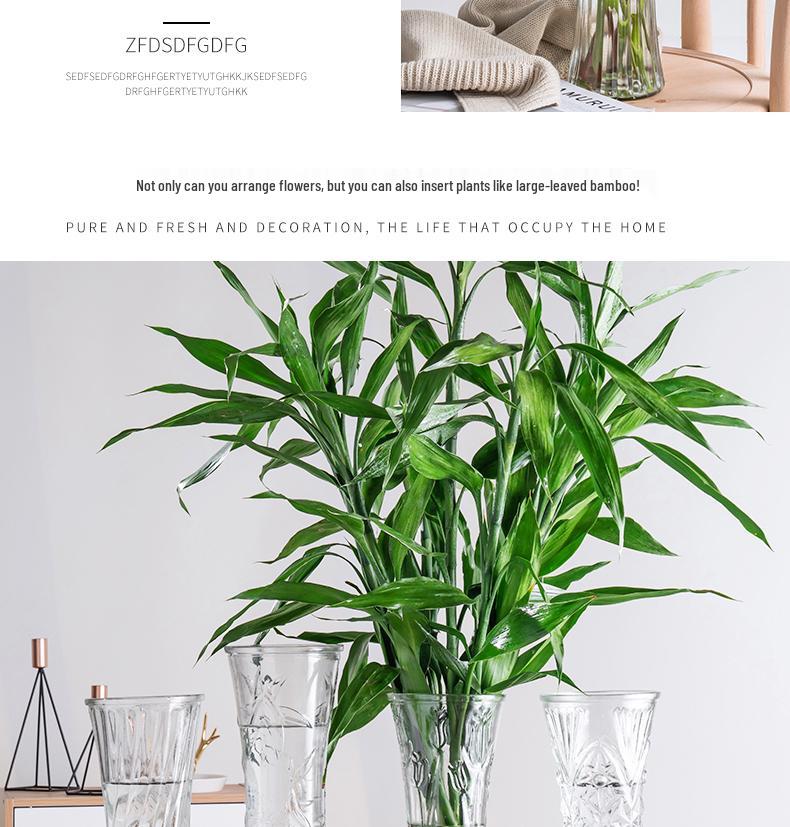 Thickened Transparent Glass Vase for Hydroponic Bamboo & Dry Flower Arrangement