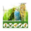 5 Pack Bird Shredding Toys Bird Parrots Chewing Hanging Toys Parrot Cage Shredder Toys Bird Cage Accessories