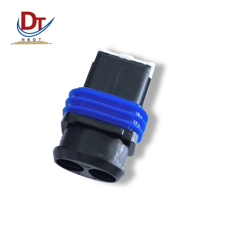 2-Pin Automotive Wiring Harness with DJ7021D-2.8-21 Plastic Sheath Plug-in Connector DJ7021D-2.8-21 Sheath