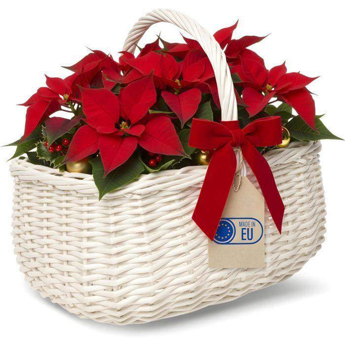Panier de Pique-Nique - CREATIVE HOME - Osier Blanc - 36x27x32 cm - Polyvalent - Artisanal
