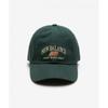 New Balance Nbgdfs1111 Heritage Arch Graphic Ball Cap  Dark Green 