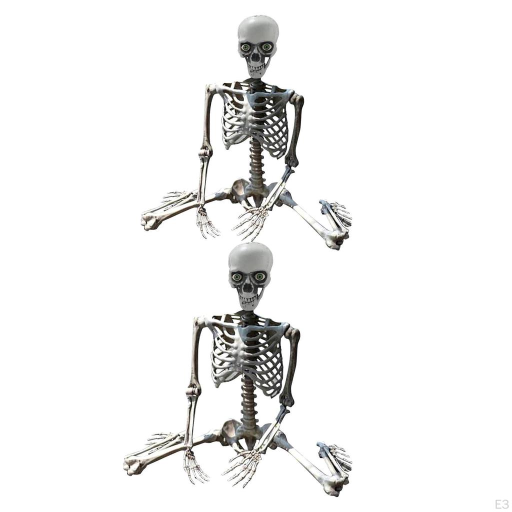 Halloween Skeleton Full Body Posable Joints Decor Durable Model Scary Skeletons