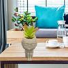 Face Flower Pot Silicone Mold Succulent Planter Concrete Mold Cute Concrete Cement Mold for DIY Pen Holder,Home Decor