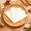 Spot Promotional Tissue Party Supplies Solid Color Dinosaur 33Cm Restaurant Paper Disposable Party Decoration Tissue
