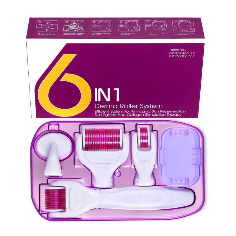 Roller 6 Derma In 1 Titanium Micro Needle Anti Ageing Facial Skin Care Tool Set