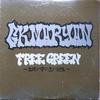 12inch Record G.K. MARYAN - Free Green (memories of Soil In the TBR5013 Taurus Record I 1995 Japan Rap & Hip-Hop/R&B Used