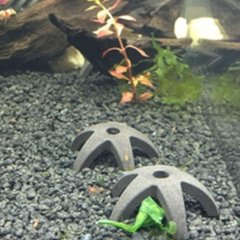 Glass-pot Clay Shrimp Spawning Hole Decorative Fish Shelter Starfish Shrimp House  Fish Tank