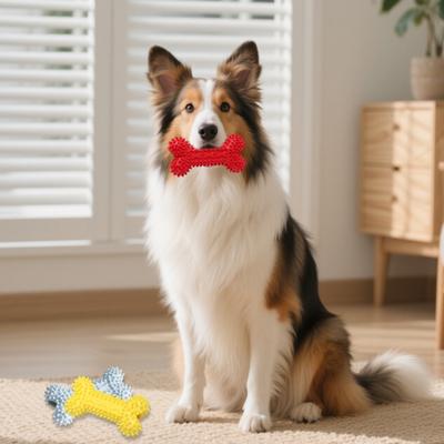 Spiky Bone Dog Chew Toy Puppy Teething Toy Textured Bone Teeth Cleaning Toy for Aggressive Chewers Anxiety Relief