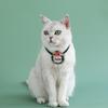 Pack of 2 Plush Pet Collars Funny Christmas Party Dogs Collar Pet Party Neckwear Cats Collar for Festival Celebration