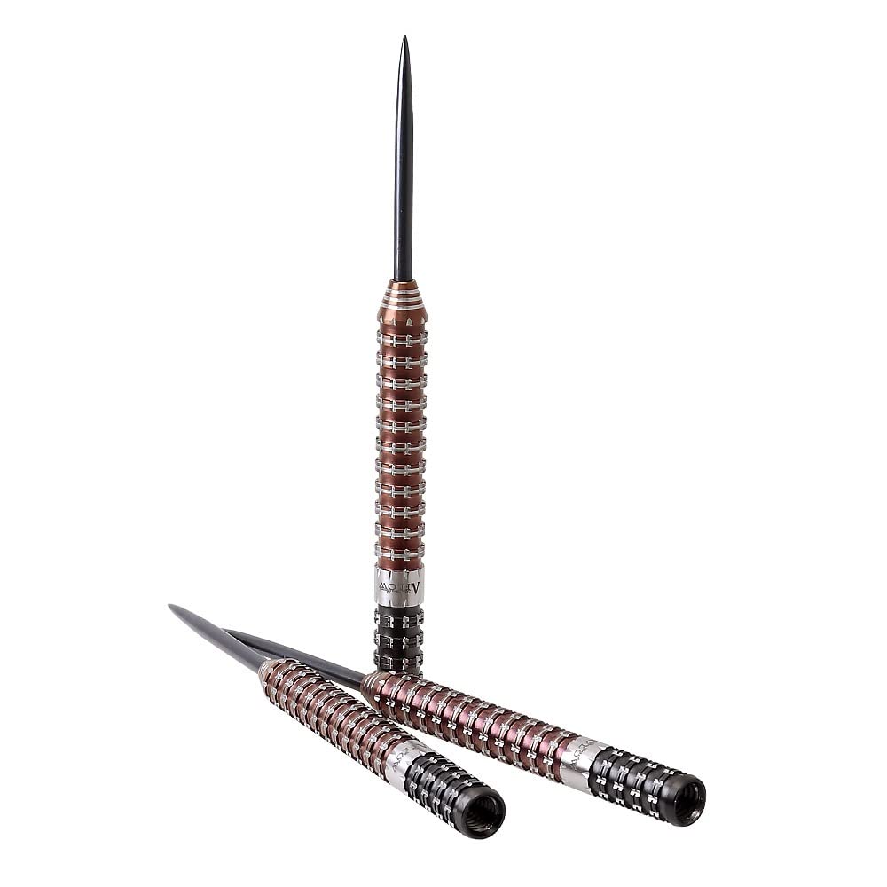 DYNASTY A FLOW BLACK LINE coating type Assegais2 STEEL Leonard Gates player model dart barrel dart set