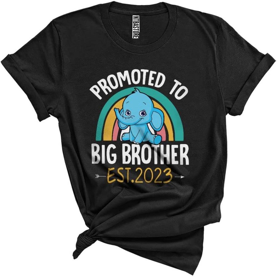 

Promoted to Big Brother Est 2023 Cute Elephant Animal Rainbow Lover Sibling Family Kids Unisex T-Shirt XXXXXL чорний
