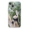Phone Case For iPhone 15 14 13 12 Mini 11 Pro Max XS X XR 7 8 Plus Clear Shockproof Silicone TPU Cover Fubao panda