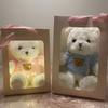 Flash Teddy Bear Plush Toy with Light Bear Doll Gift Box Ragdoll Bear Doll for Girl Birthday Gift