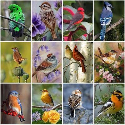 DIY Landscape 5D Diamond Painting Full Round Drill Bird Diamond Embroidery Cross Stitch Kit Wall Art Resin Home Decor Gift