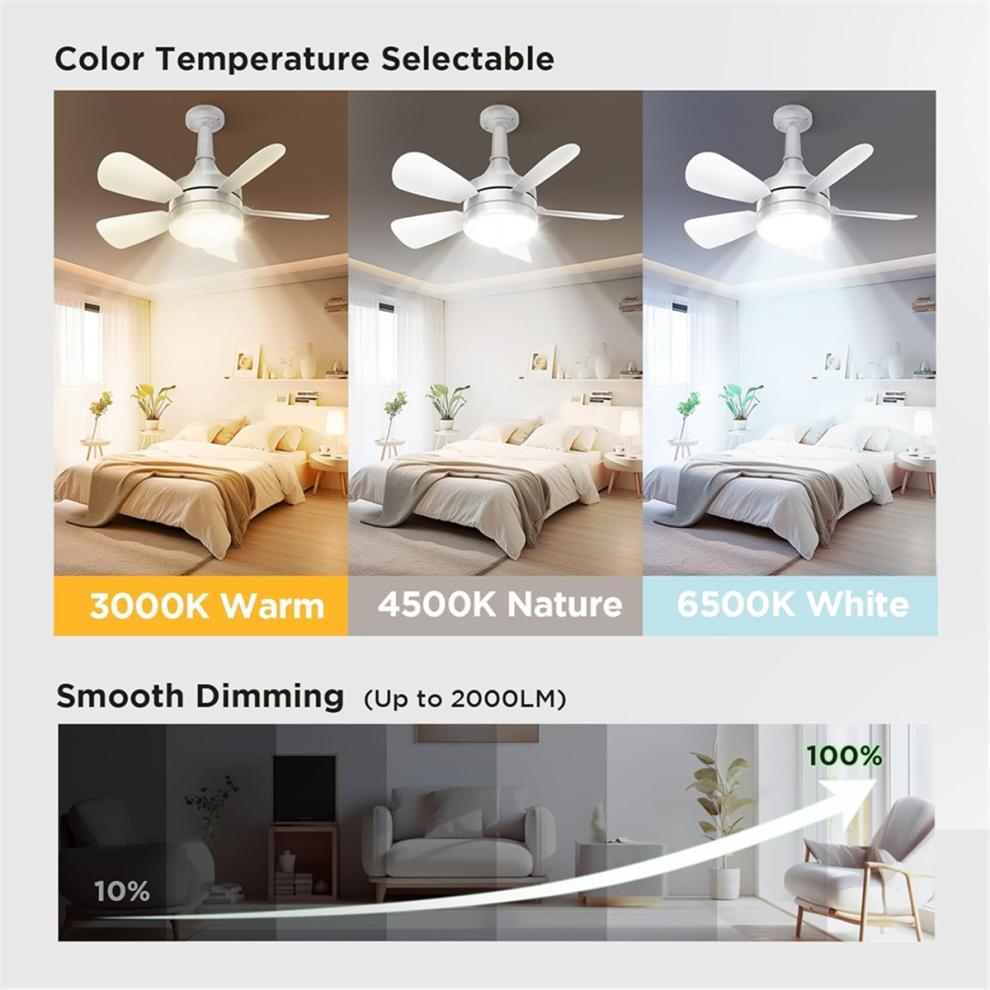 Socket Ceiling Fans with Lights and Remote - Fan Light Dimmable Led Bulb,Screw in Small