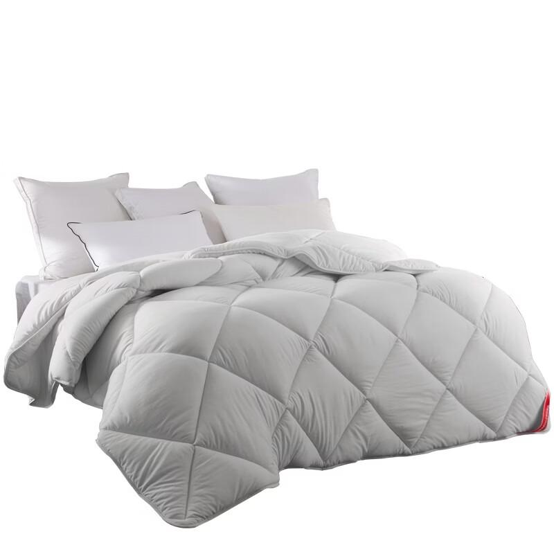 Mengjie Thermal Smart SPA Thick Winter Quilt