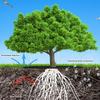 Nonwoven Tree Ring Cover Weed Barrier Landscape Fabric Breathable Durable Mulch Mat For Garden Plant Protection