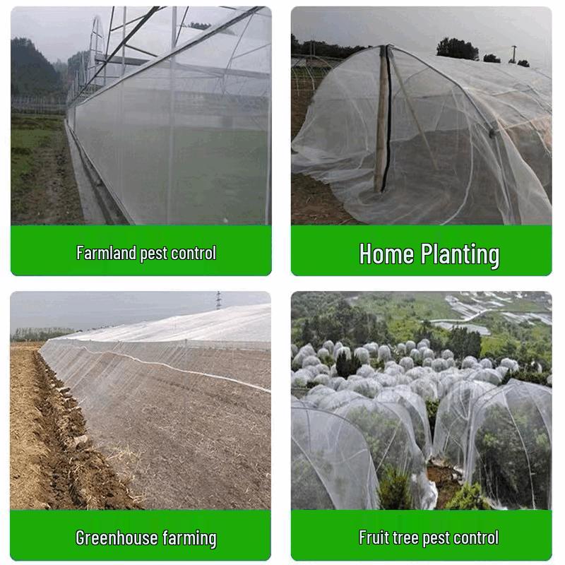 Zhanshi 80 Mesh Thickened Agricultural Net
