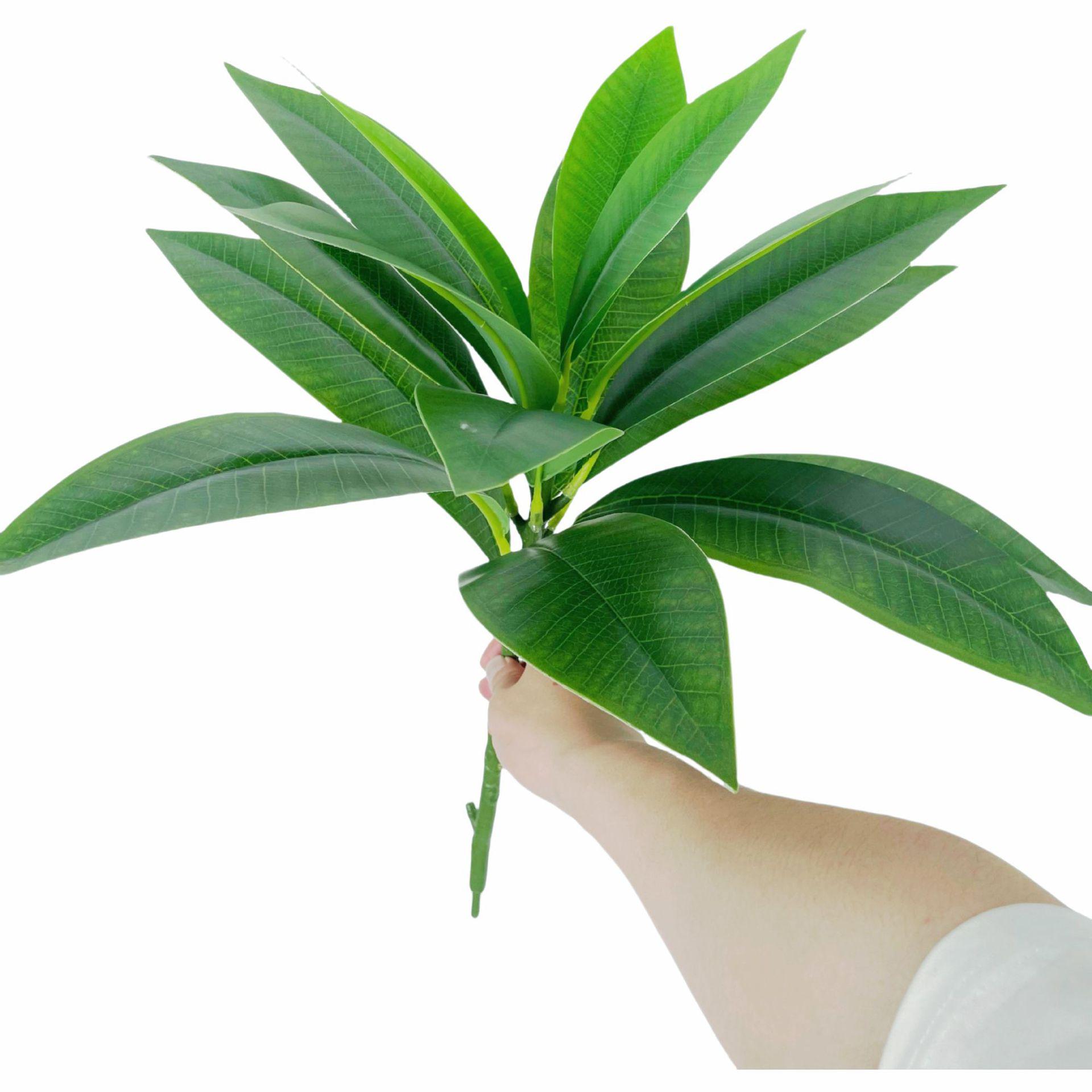 

Premium Plumeria Artificial Flower for Indoor Home Floral Art & Photography Decor