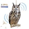 2D Bird Repel Scarecrow Durable Owl Scarer Pendant Bird Repellent Bell Pastoral Orchard Decorative Scarer Pendant