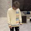 2025 Autumn/Winter Luxury Rainbow Logo Knit Sweater, Unisex Loose Casual Round Neck Top