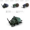 Vibrant Pvc Dung Beetle And Beetle Models Set Of 8 Realistic Insect Figurines For Home Decor