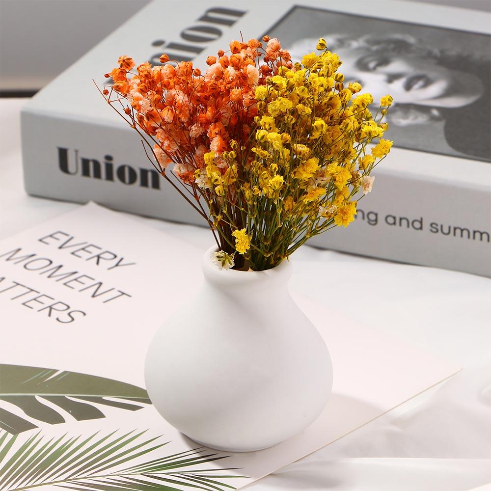 Party Small Photo Backdrop Natural Pressed Dried Flowers Dry Flower Babysbreath Bouquet Gypsophila