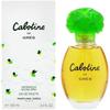 Perfumes – Perfumes