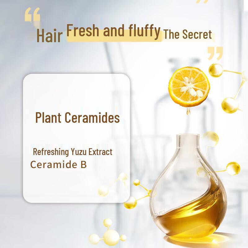 Syoss Fresh Grapefruit Anti-Dandruff Oil Control Volumizing Shampoo