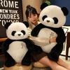 Cute giant panda hug bear doll plush toy super soft sleeping pillow cloth doll bed doll gift female
