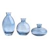 Classic Creative Vase Top Quality Glass Transparent Hydroponic Vase Living Room Flower Vase Home Decoration