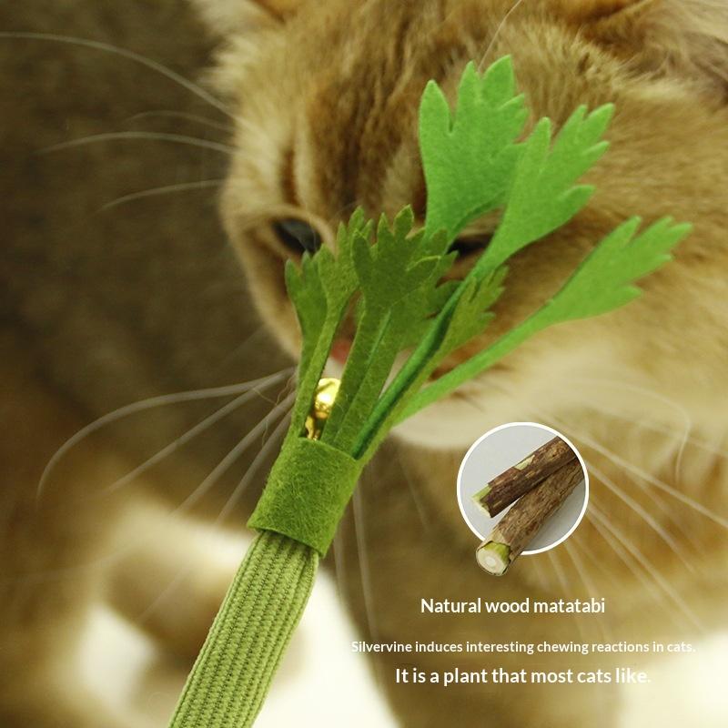 

Cat Chew Toys Catnip Cat Teeth Cleaning Toy Interactive Self Playing Catnip Molar Stick Toys Bite Squeaky Cat Toy зелений