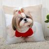 Fodera per cuscino per cane Shih Tzu Personalizza federa Moderna casa decorativa federa per soggiorno
