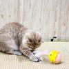 Interaktives Katzenspielzeug Automatisch rotierendes elektrisches Kätzchenspielzeug Wiederaufladbar Indoor Outdoor Spielzeug zur Linderung von Angstzuständen