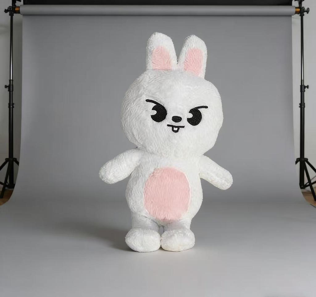 50CM Stray Kids Teddy Plush Hug Pillow Doll Fans Gift Plush Toy Seoul FM Week Cloak Doll Magic School Kid Birthday Gift