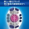 Braun Whitening Care Oral-B EB18-6-ELN