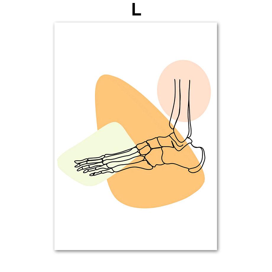

Фетальный дыхательный тракт сустав стопы кость настенное искусство холст живопись скандинавский постер и принты настенные картины для декора офиса врача 21x30cm No Framed