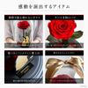 Amorosa Moderno Preserved Flower Destiny Rose Disney Edition and the Bright Red Rose Gift Flower Birthday Women Wedding Anniversary Proposal