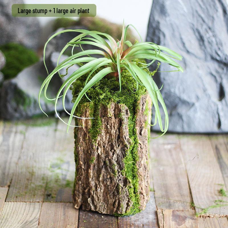 Forest Style Artificial Tree Stump with Moss Bark - Kindergarten and Country Style Decorative Ornament, Perfect for Landscaping or Inserting Flowers.