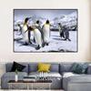 Modern Penguin Canvas Painting Wall Art Antarctic Creatures Animal Posters and Prints Wall Pictures for Living Room Decoration