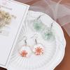 Dongdaemun Dried Flower Transparent Acrylic Geometric Resin Earrings Temperament Personalized Stud Earrings Earrings