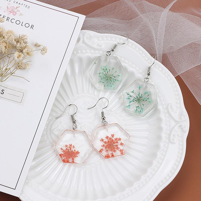 Dongdaemun Dried Flower Transparent Acrylic Geometric Resin Earrings Temperament Personalized Stud Earrings Earrings