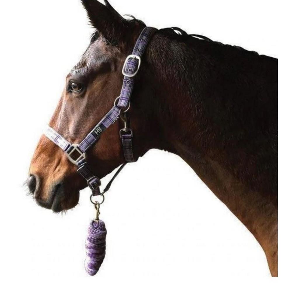 Hy Tartan Head Collar with Lead Rope