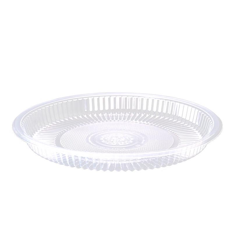DINGYE 9-inch Clear Disposable Plastic Plates (200 Count)