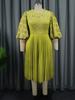 Plus Size Lace Lantern Sleeve Dress with Pleated Skirt - Christmas Gift