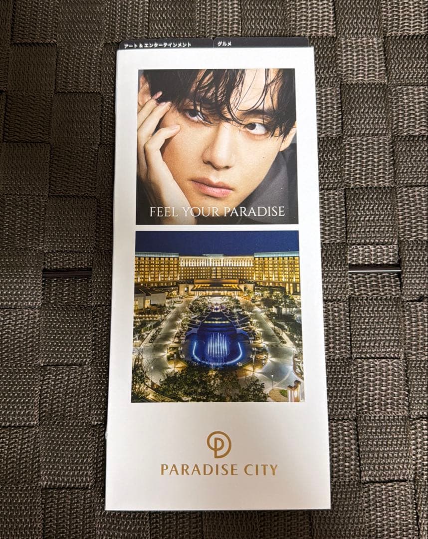 

[USED] BTS V Paradise City