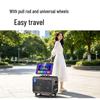 Philips SD239EX Home KTV Bluetooth Speaker System (CN version)