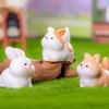 Rabbit Cat Frog Mini Animals Ornament Resin Crafts Micro Landscape Decoration  Car Accessories